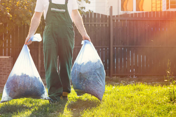 Trusted Colwyn, PA Junk Removal Services Experts